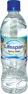 LIFESPAN SPRING WATER 500 ML – Sam's Bread & Butter Express